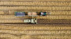 Rechte Chatgruppen doch strafbar?