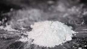 Spürhund Fly erschnüffelt 20 Kilo Koks im Koffer