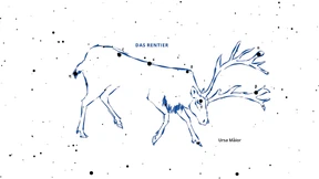 Im Weltkino der Nacht