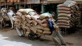 „Ein herber Schlag für den Welternährungsmarkt“