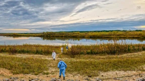 Neu sind hier nur die Minen