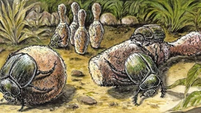 Wann kommt der Fortschritt für die Zivilgesellschaft?