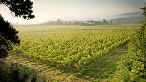 Frischer wird's nicht!