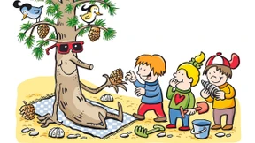 Wie eine Kiefer aus der Asche