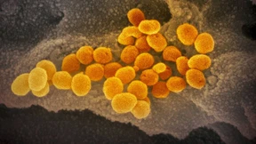 Erster Fall von Coronavirus-Mutation in Deutschland nachgewiesen