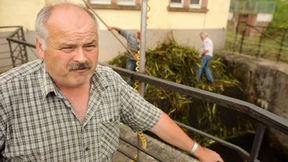 Gerste und Zwiebeln versinken im Hochwasser