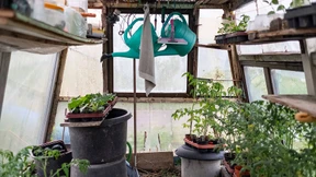 So fühlt sich das Gartenfieber an