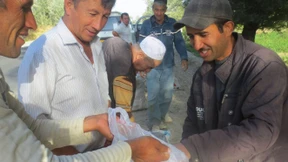Kartoffeläcker im Hochgebirge