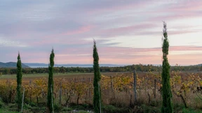 Eine neue Generation von Winzern und Köchen belebt den Balaton