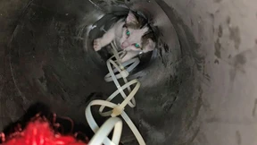 Feuerwehr rettet Katzenbabys aus Heizungsrohr