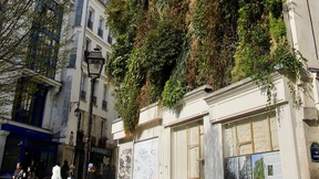 Das Beet muss an die Wand