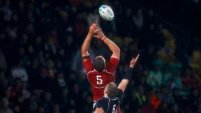 Aufmarsch der Bären