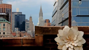 New York, aus mittlerer Höhe