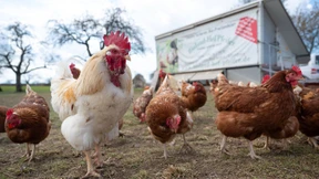 Tierschutz gibt es nicht umsonst