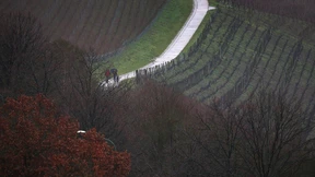 Wie Luftwirbel im Weinberg dem Frost ein Schnippchen schlagen