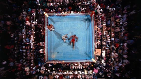 Vier Fäuste für Kinshasa