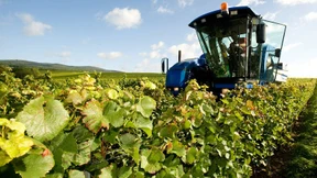 Schluss mit dem Etikettenschwindel