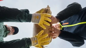 Endet die Solidarität am Sandsack?