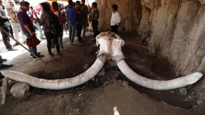 14.000 Jahre alte Mammutknochen entdeckt