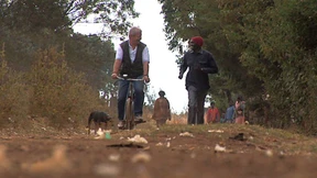 Zerfetzter Laufschuh