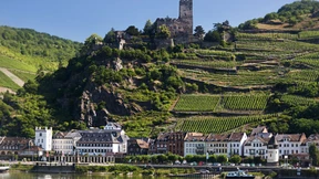 Steile Hänge, perfekter Wein