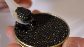 Kaviar hat oft eine illegale Herkunft