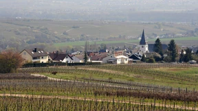 Aus Respekt  vor der Landschaft