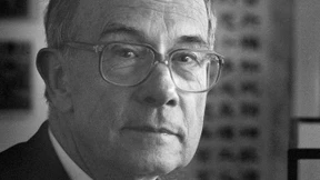 Flächenfuchs unter Garben