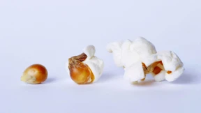 Sie trugen einen Hauch von Popcorn