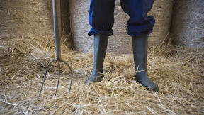 Deutsche Bauern haben keine Angst vor Putin