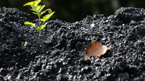 Klimaretter kaufen Kohleminen