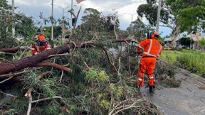 Ein Toter und Hunderttausende ohne Strom