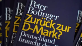 Braucht Deutschland den Euro, oder braucht es ihn nicht?