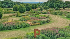 Die Pracht der Prärie