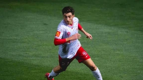 Cavallo von Reaktionen „überwältigt“