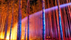 Hunderte Feuerwehrleute kämpfen gegen die Flammen