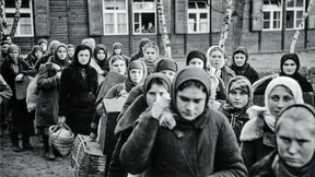 Eine Gefahr für Wald und Frauen