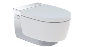 Warum Japaner den Po mit Wasser reinigen, Deutsche aber nicht.