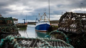 Brexit kostet britische Fischer 300 Millionen Pfund