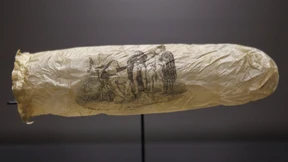 Das Urteil des Parisers