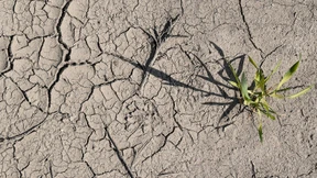 Die schlimmste Dürre seit der Französischen Revolution