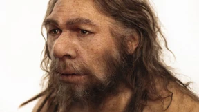 Das Fremde und das Vertraute