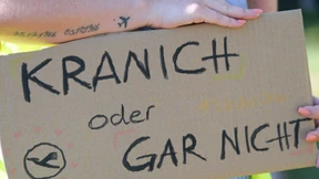 Erleichterungsrally bei Lufthansa