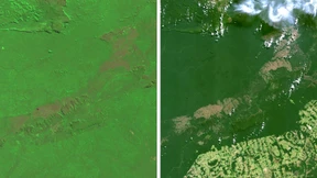 Wie Holzfäller und Siedler den Regenwald vernichten