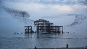 Ein Schiff wird kommen