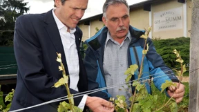 Kühne Spekulation als Geburtsstunde eines Weinguts