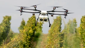 Schlag ins Gesicht der Winzer