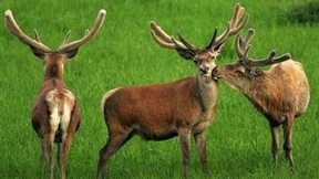 Labore für das Überleben des Menschen