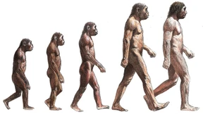 Der Haken an der Haltung