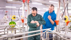 Der versäumte Wandel in der Landwirtschaft